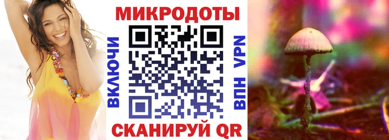 Псилоцибиновые грибы прущие грибы  Цивильск 