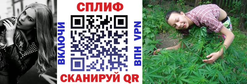 купить   Цивильск  маркетплейс телеграм  Бошки марихуана планчик 